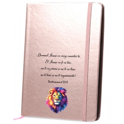 Agenda sidefata roz,  Insusi El va merge...